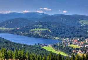 Hochschwarzwald
