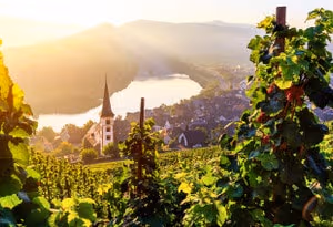 Rheinland-Pfalz