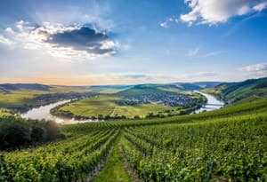 Ferienland Bernkastel-Kues