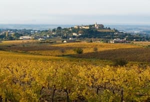 Vaucluse - Mont Ventoux