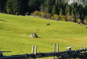 Salzburger Saalachtal