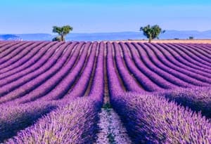 Provence