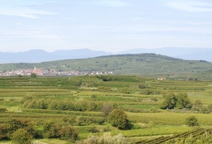 Kaiserstuhl