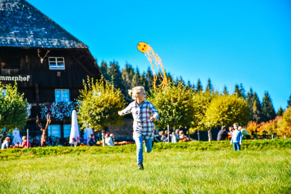 Kindern beim Drachen steigen lassen - Aktivurlaub im Schwarzwald