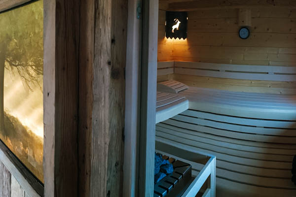 Sauna im Chalet Alpengruss