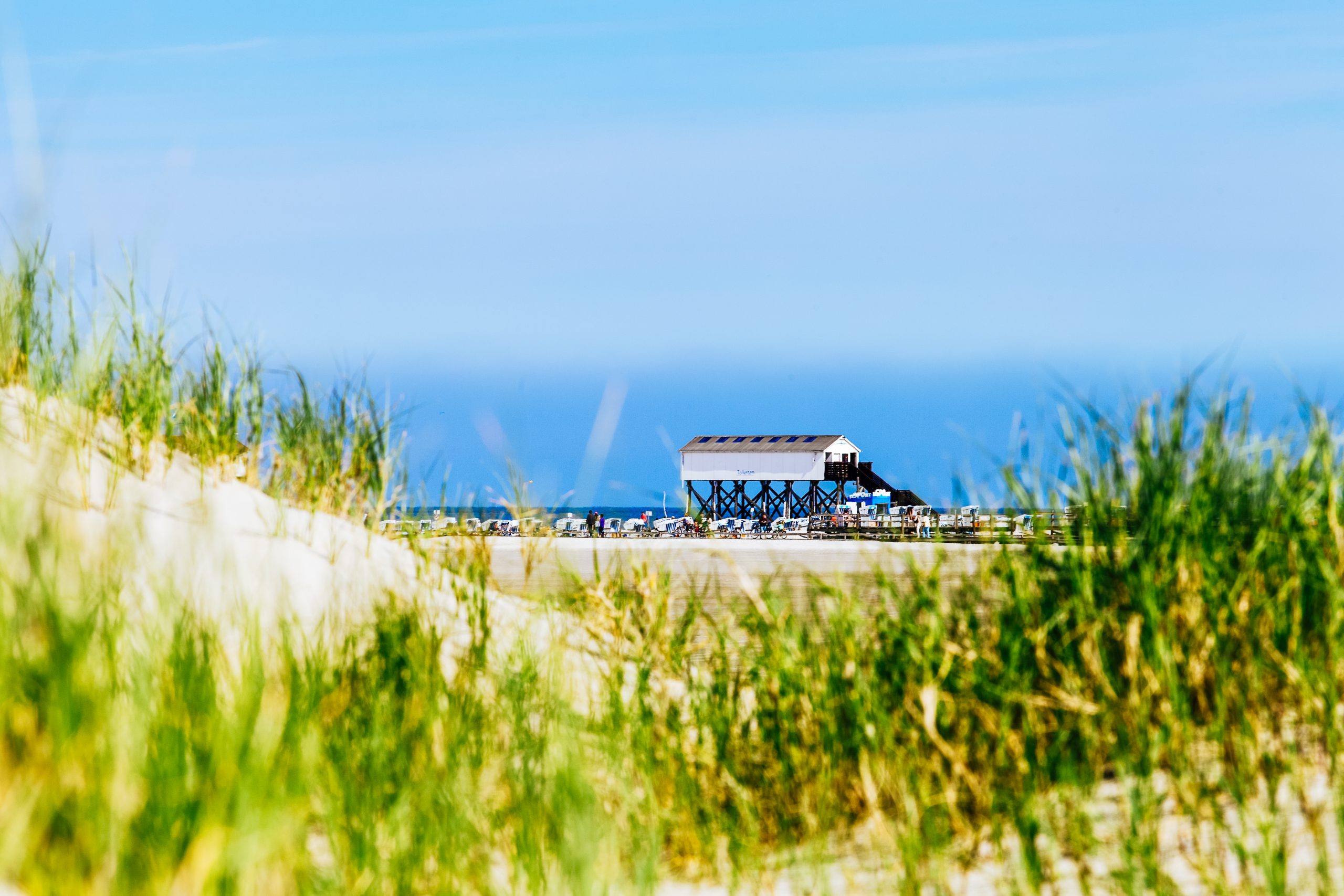 sylt