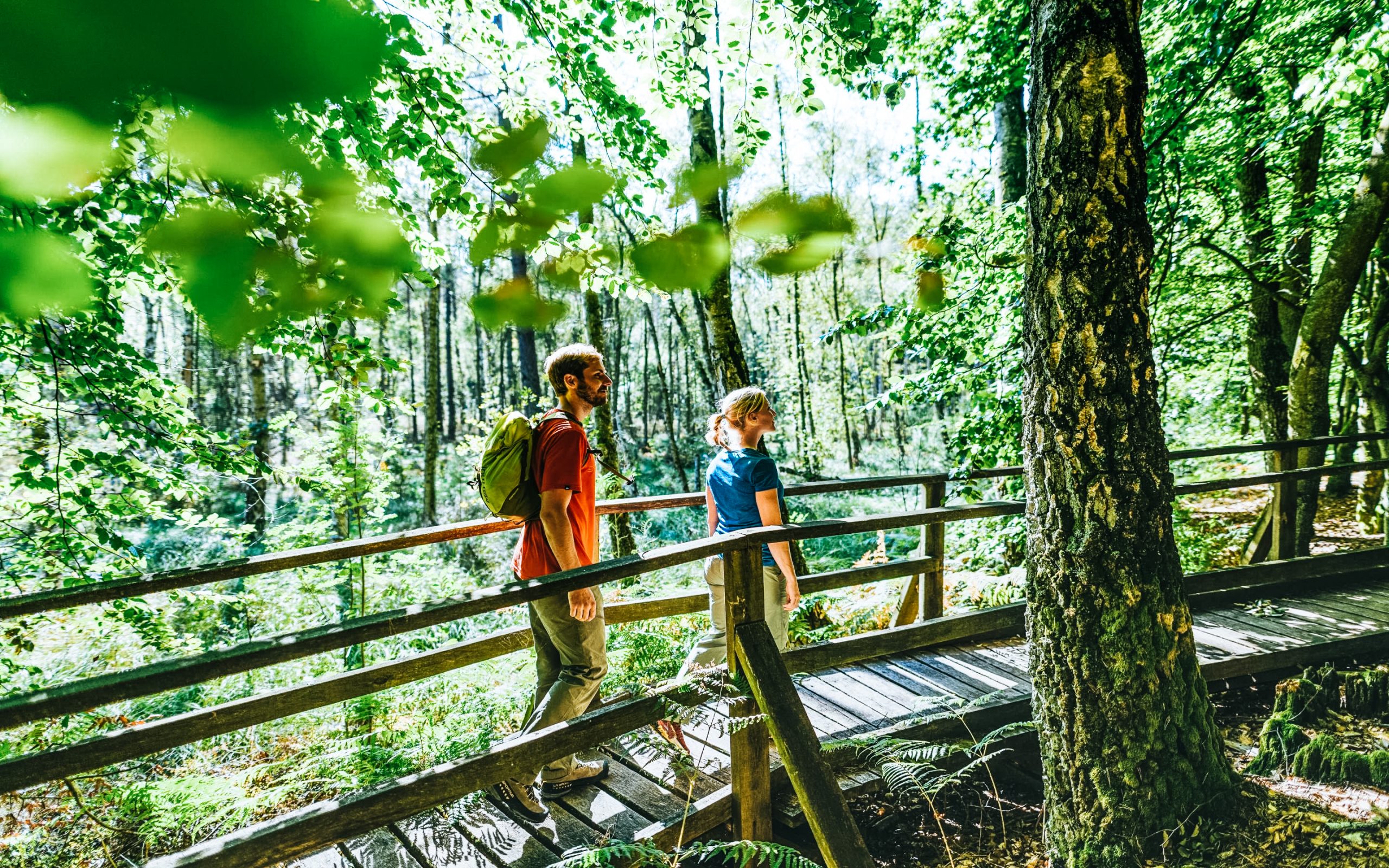 Wandern in Brandenburg