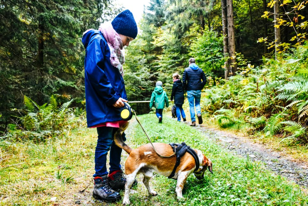 Familie beim Wandern mit Hund - Aktivurlaub im Schwarzwald