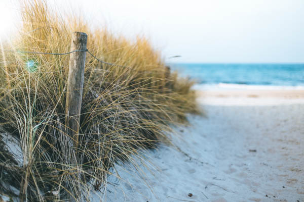 Strand mit Gras in Kühlungsborn