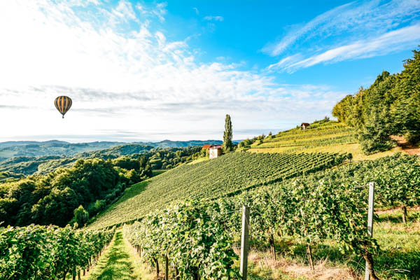 Weinberge und ein fahrender Heißluftballon im Hintergrund in der Toskana