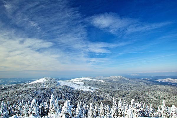 Blick auf die veschneite Winterlandschaft im Bayerischen Wald