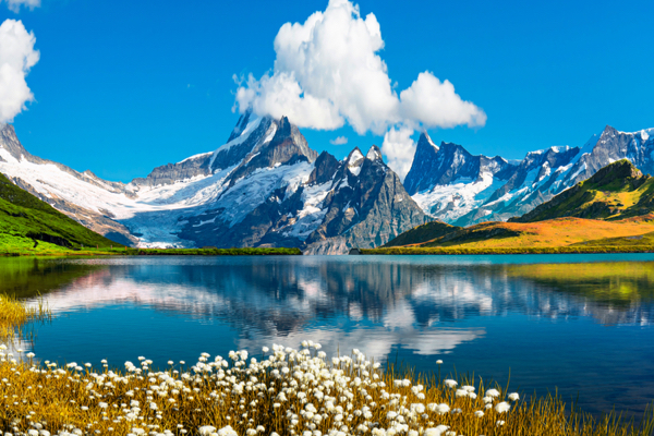 Blick über den Bachalpsee auf die Schweizer Alpen